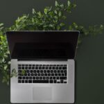 Какво е зелена дигитализация?