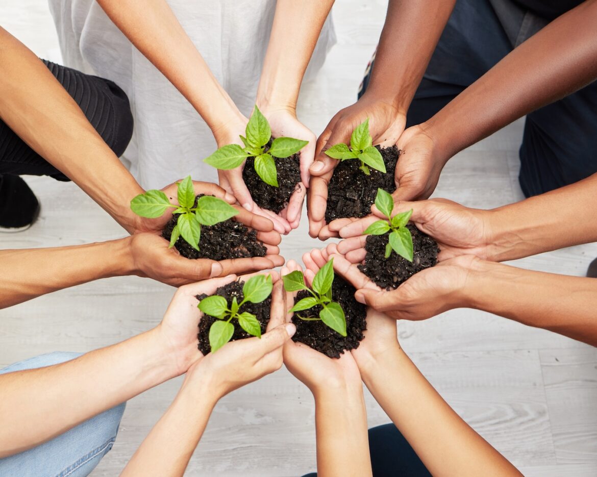 Helping new life to grow. Shot of a diverse group of people holding seedlings to be planted.