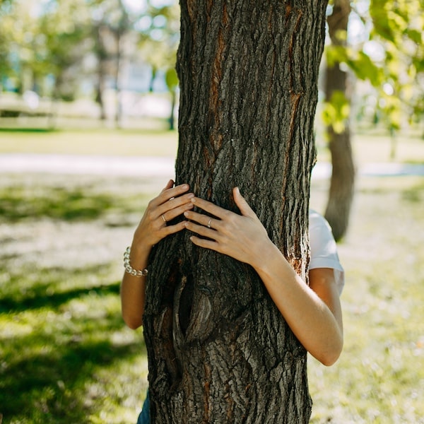 Tree Hugging. Close Up Of Hands Hugging Tree
